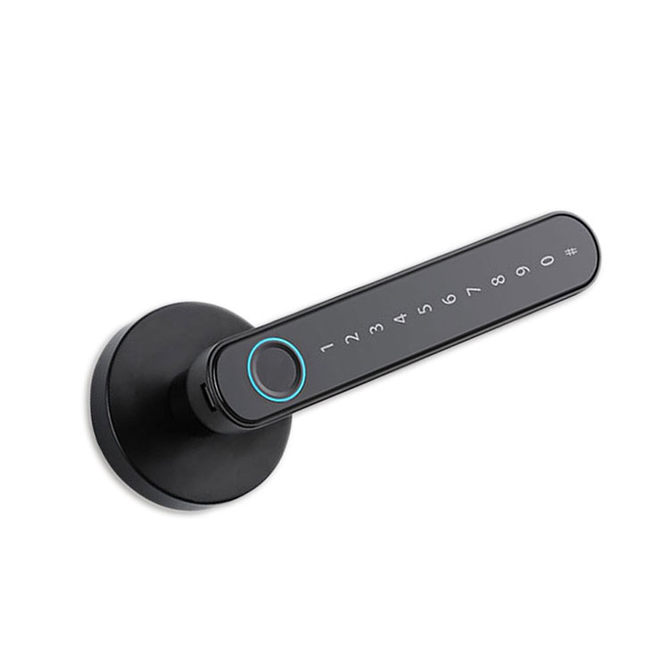 Dolor manubrium sursum - FM T8
