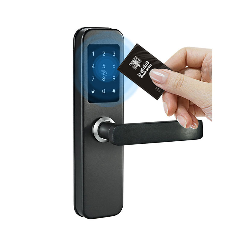 Smart Hotel Lock-FM 2058